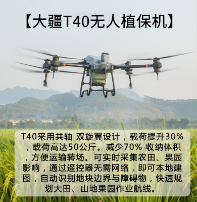 &#66;&#20307;&#32946;&#30452;&#25773;